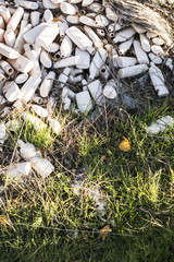 Plastic waste on grass