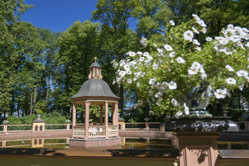 Fototapeta premium Arbor on a lake in the Summer Garden in St. Petersburg