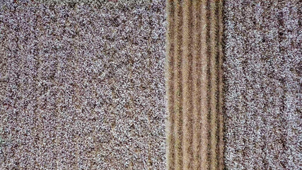 Aerial image of a vast Cotton field showing both pre and post harvest parts of the field.
