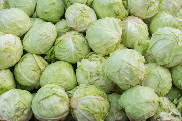 Group of green cabbages in a market at china