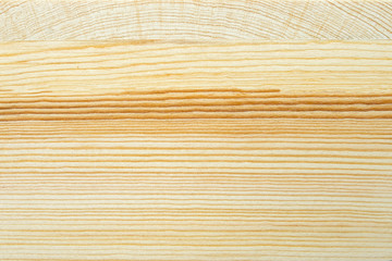 Texture of wood background