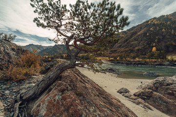 ALtay - Chemal. (Алтай - Чемал)