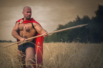 Spartan ancient warrior in the helm holding a spear in hand wearing in the red cloak is standing in...