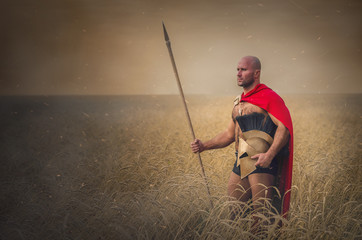 Spartan ancient warrior in the helm holding a spear in hand wearing in the red cloak standing in the wheat field. Win the war concept.