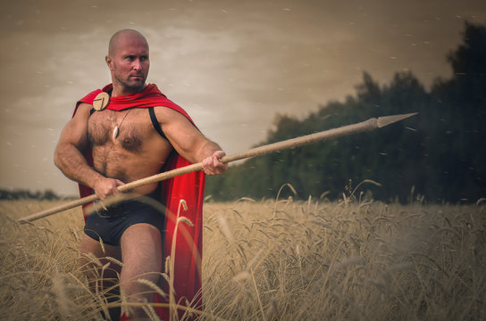 Spartan ancient warrior in the helm holding a spear in hand wearing in the red cloak is standing in the wheat field.