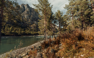 ALtay - Chemal. (Алтай - Чемал)