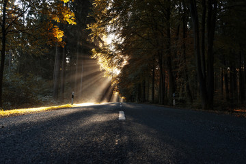 Landstraße im Herbst 