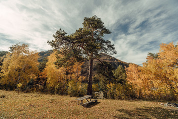 ALtay - Chemal. (Алтай - Чемал)