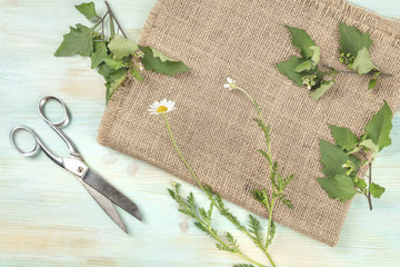 An overhead photo of retro scissors and a freshly cut flower with some branches with green leaves, shot from above on a burlap texture with copy space