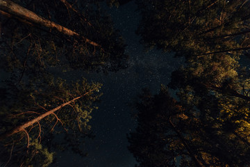 ALtay - Chemal. (Алтай - Чемал)