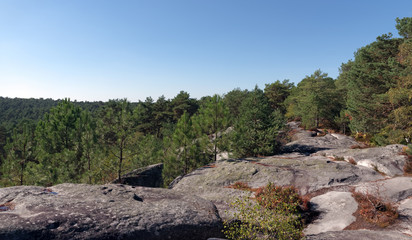 Gorges de Franchard in Fontainebleau forest