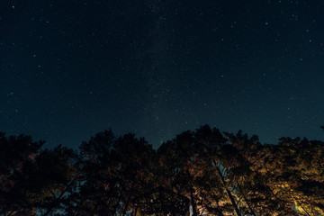 ALtay - Chemal. (Алтай - Чемал)
