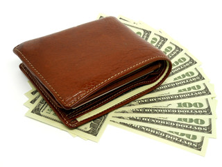 Wallet and 100 dollar isolated on white background. investment for concept