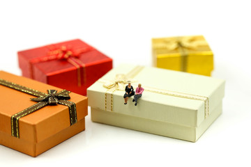 Miniature people : couple of love with Christmas gift box using for concept of Holiday greeting card.