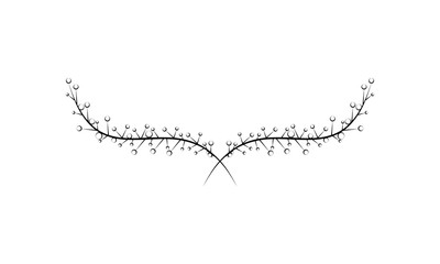 Decorative floral Ornament for text