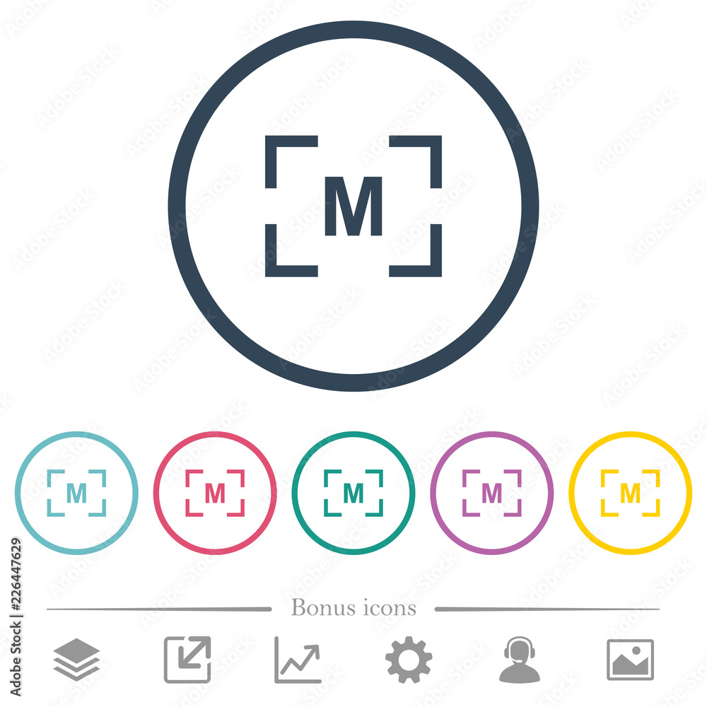 Poster camera manual settings mode flat color icons in round outlines
