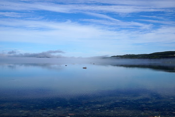 Obraz na płótnie Canvas a northern bay in foggy summer morning