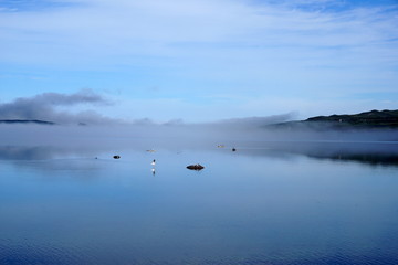 Foggy morning over a north bay with birds.