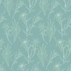 Botanical pattern with edelweiss flowers