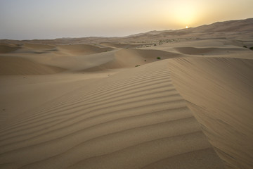 Fototapeta na wymiar Beautiful Rub al Khali desert at sunrise