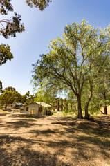 Fototapeta premium Castlemaine Historical Park vert