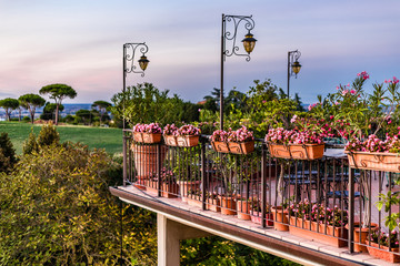 Balconies in flowers