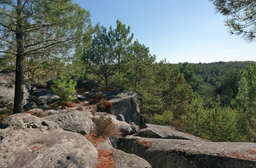 Gorges de Franchard in Fontainebleau forest