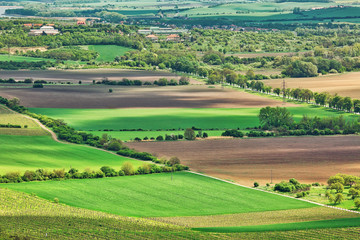 Fototapeta na wymiar Rural landscape in Southern Moravia, Czech Republic. Aerial view.