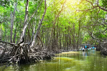 Tuinposter Mexico People boating in mangrove forest, Ria Celestun lake, Mexico