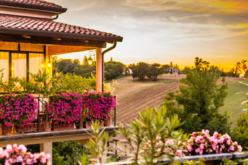 Balconies in flowers