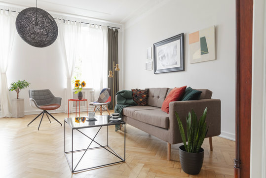 Table next to settee and plant in living room interior with grey armchairs and posters. Real photo