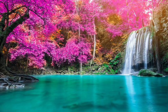 Fototapeta Amazing water fall in autumn forest at fall season 