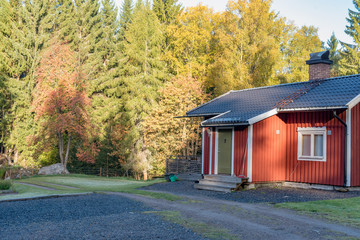 little red cabin with a green door in swedish forest autumn 2018 - Powered by Adobe