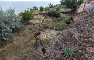 Mountain landslide disaster in sesmically dangerous area. Large cracks in earth, descent of large...