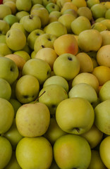 Fresh, tasty, juicy, yellow apples in a box