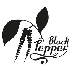 hand drawn black pepper, spicy ingredient, black pepper logo, healthy organic food, spice black pepper on white background, culinary herbs, label, food, natural healthy food, vector graphic to design