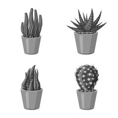 Vector illustration of cactus and pot symbol. Collection of cactus and cacti stock vector illustration.