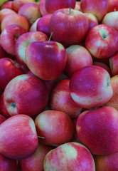 Fresh, tasty, juicy, red apples in a box