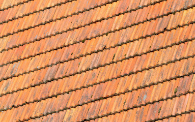 Rooftiles on a dutch house