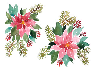 Loose Watercolor evergreen plants for Christmas decoration. Arangements of poinsettia, spruce and red berries