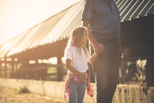 Visits to animals on the farm.