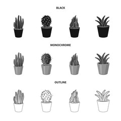 Isolated object of cactus and pot sign. Collection of cactus and cacti vector icon for stock.