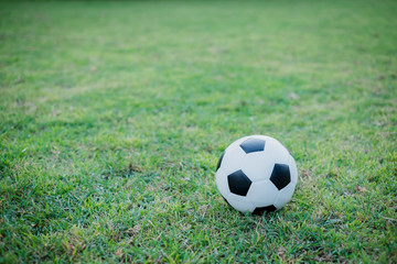 Fototapeta premium soccer ball on soccer field