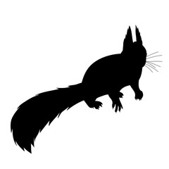  icon, silhouette squirrel