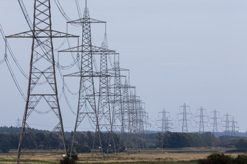 Many electrical pylons in a long row
