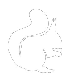 sketch, white squirrel, on white background