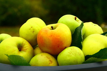 coupe de pommes d'automne,fruit de saison