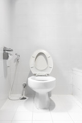 White toilet bowl in a modern bathroom.
