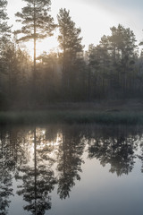 calm and foggy morning near a channel in Sweden