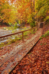 Autumn landscape - wooden bridge in the autumn park